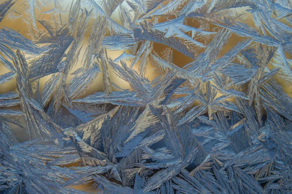 USA, Colorado, Denver Frost on a window